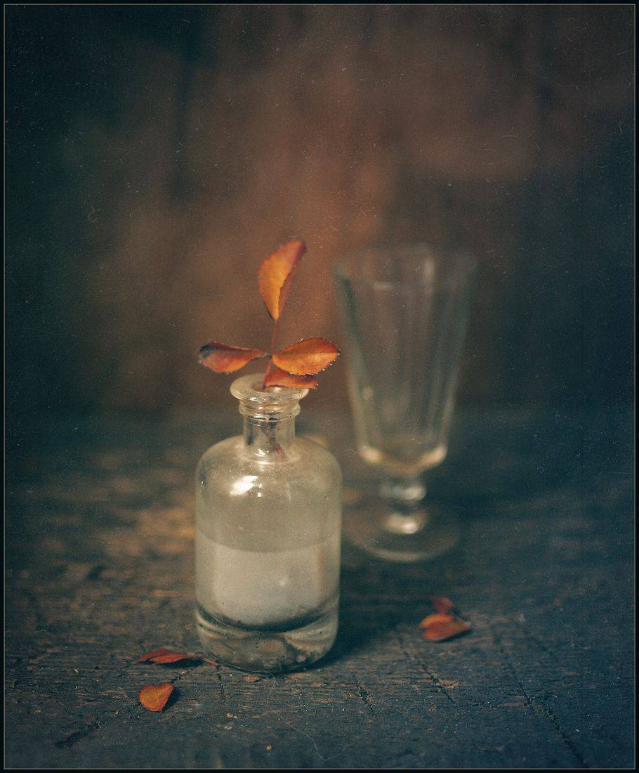 , Хромеев Александр