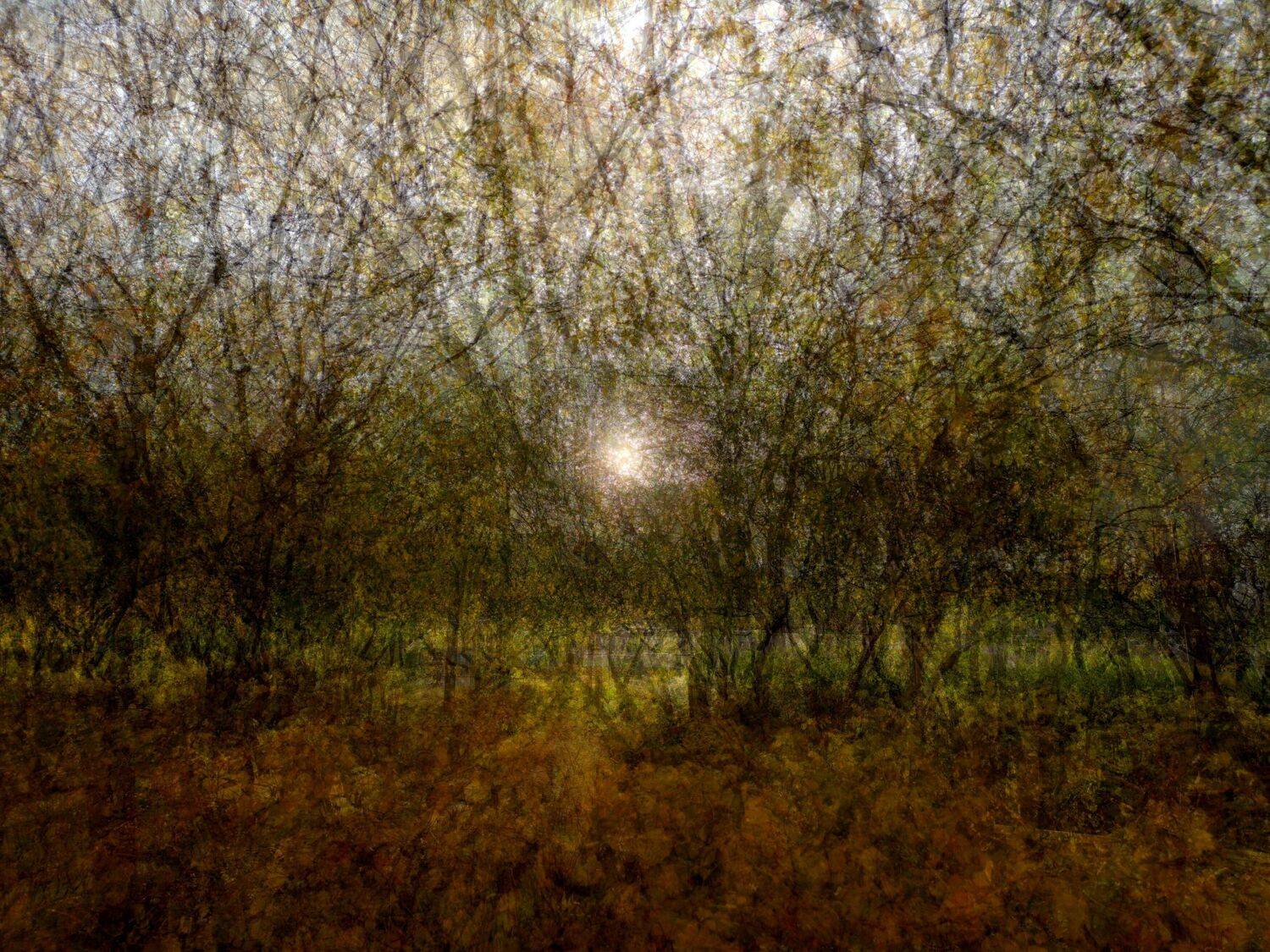 , Антон Лаба