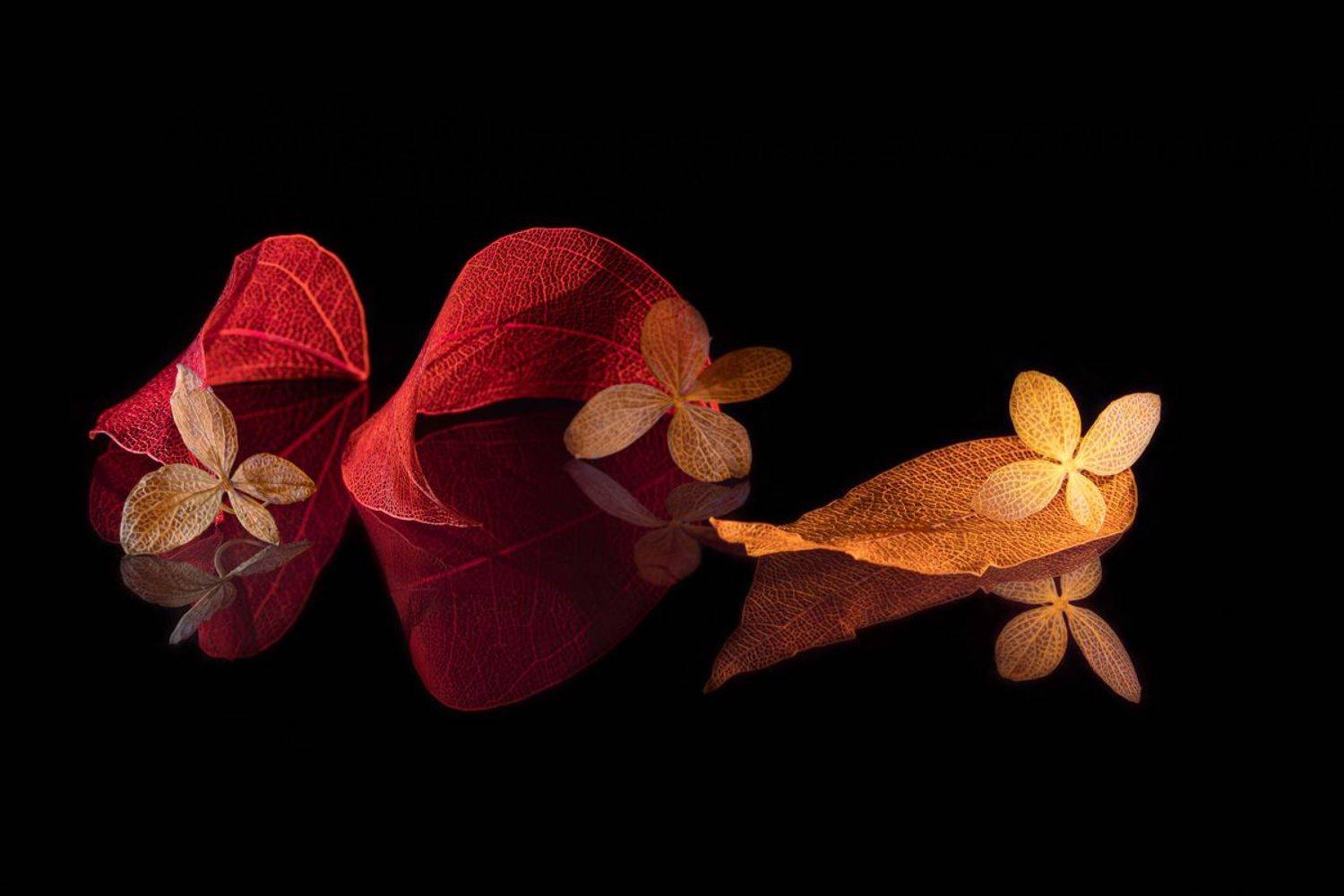 still life, close-up, Игорь Копцев