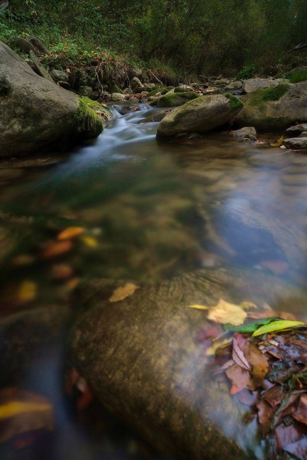 #nature, #туман, #лес, #oсень, #украина, #карпаты, #пейзаж, #закат, #туман, #солнце, #свет, #mountain range, #mountains, #туризм, #лес, #nature, #природа,, Леонид Морозов