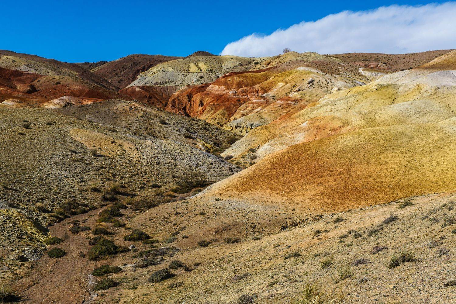Россия,Алтай, Курай, пейзаж,Марс, горы, Лариса Николаевна Дука