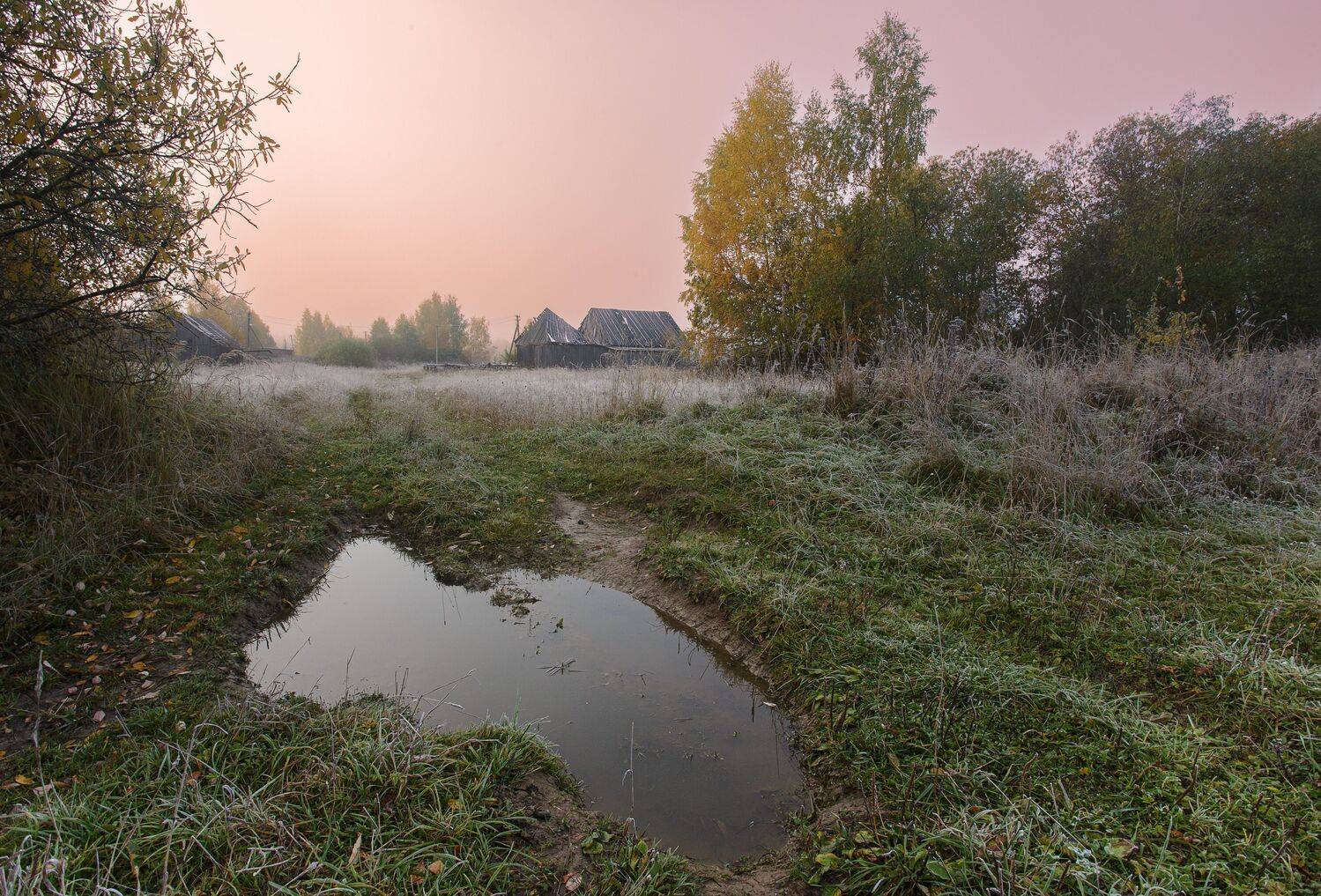 , Зеленько Дмитрий