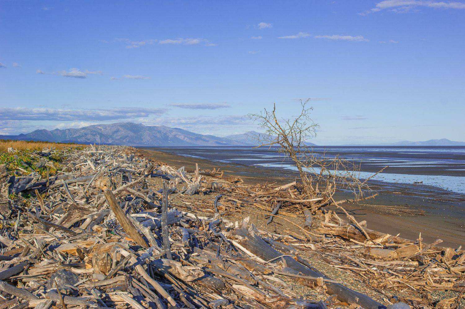, Андрей Загребельный