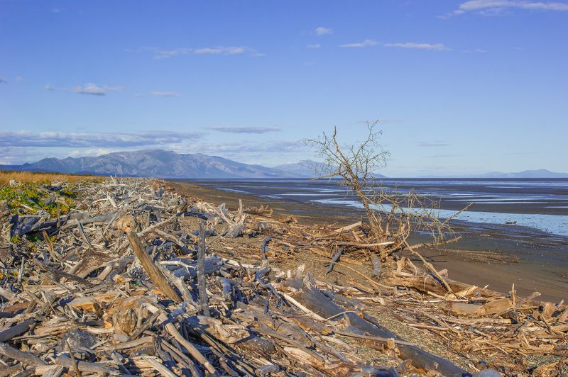 Большой отлив фото превью