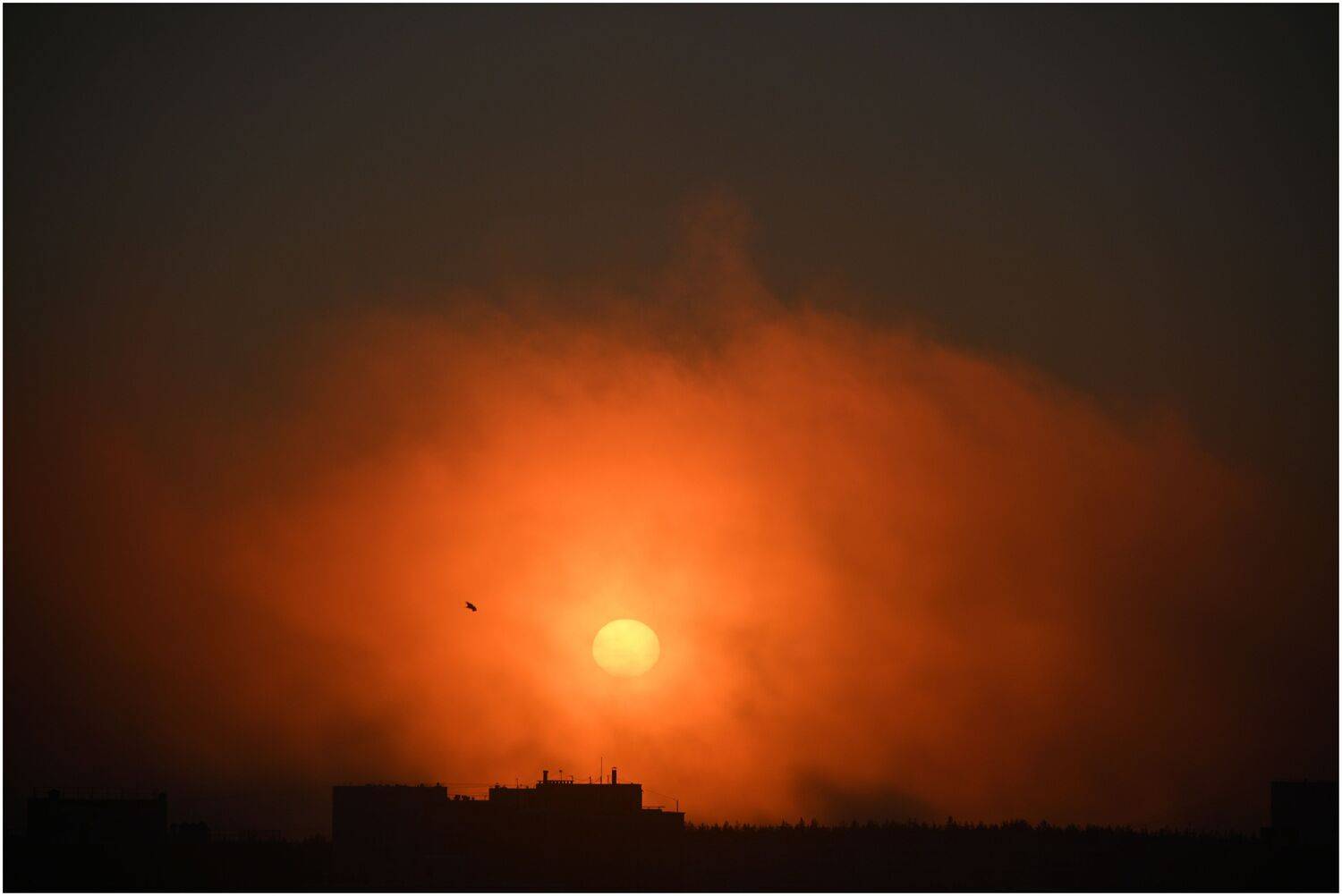 , Меднов Влад