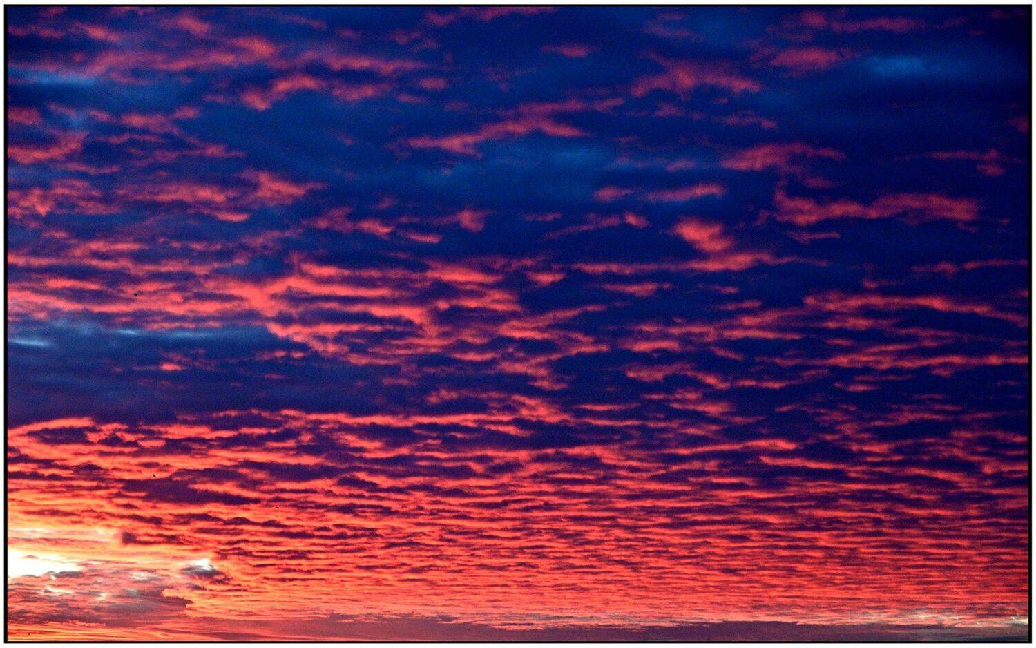 , Меднов Влад