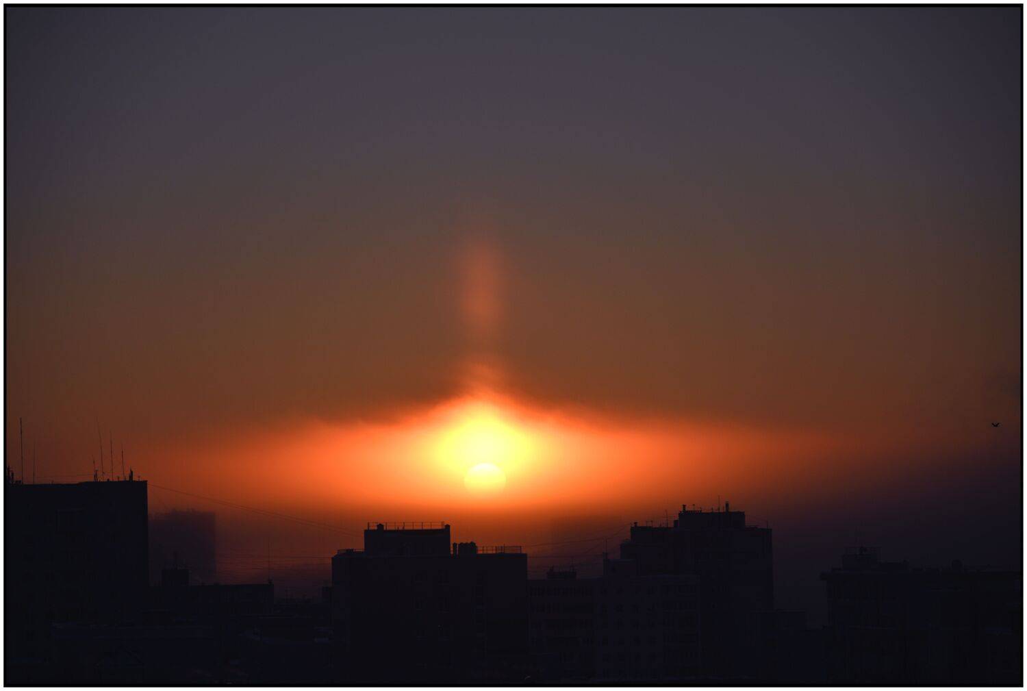 , Меднов Влад