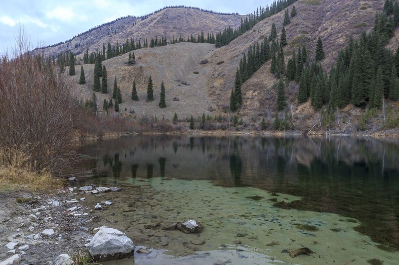 Озеро Каинды. Казахстан фото превью