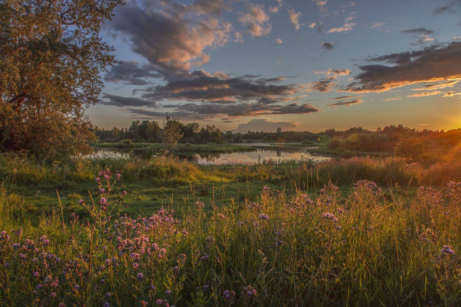 Тверская область, Гусева Елена