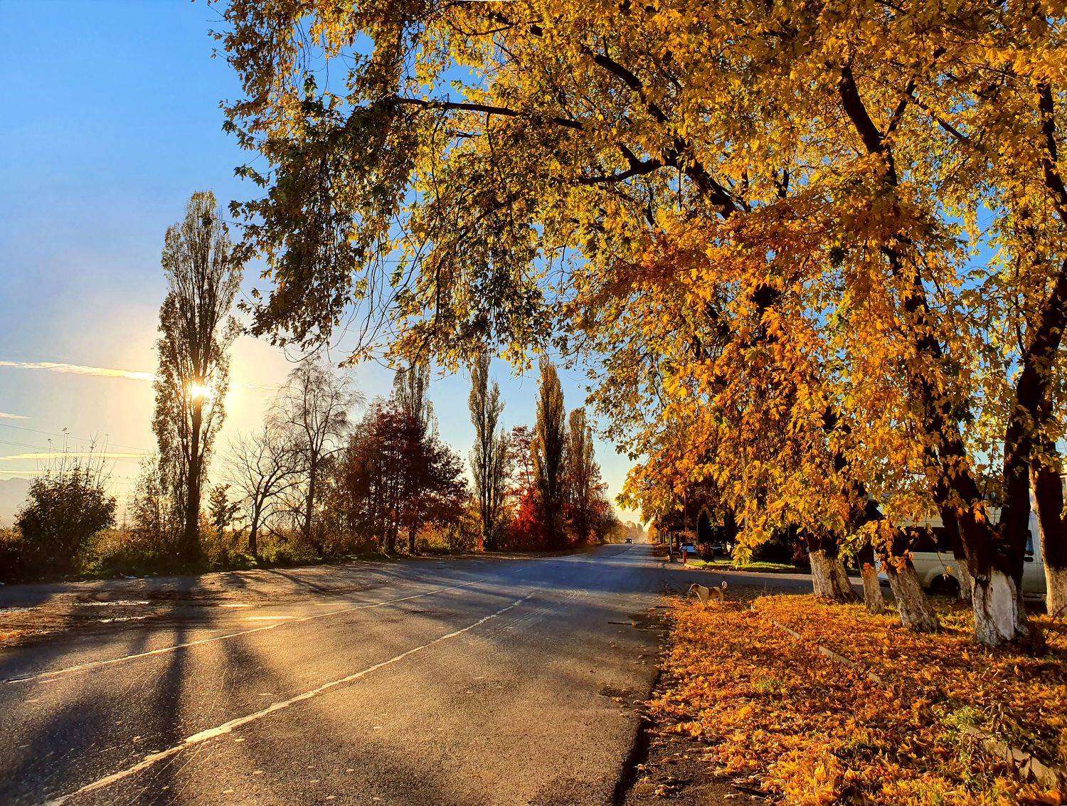 , Табуев Батраз