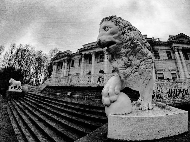 Елагинские стражи фото превью