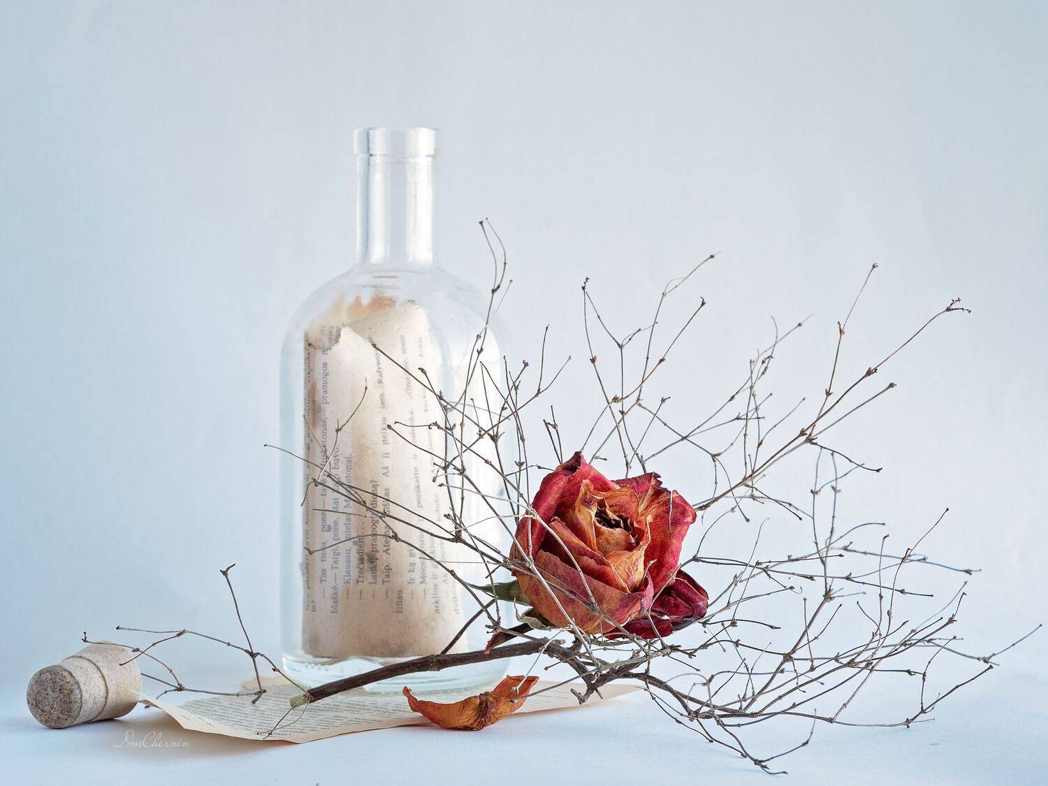 , Дмитрий Чернин