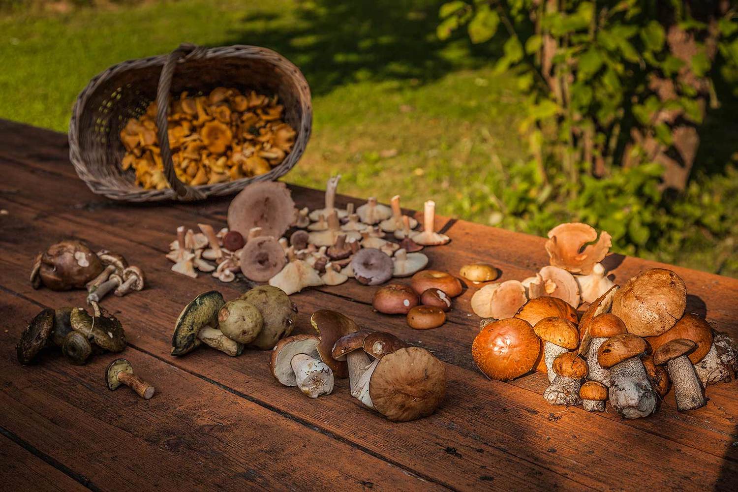 , Напалкин Станислав