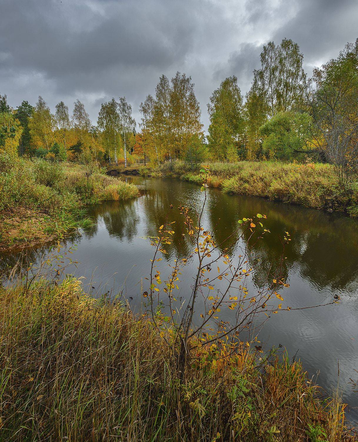 , Андреев Николай