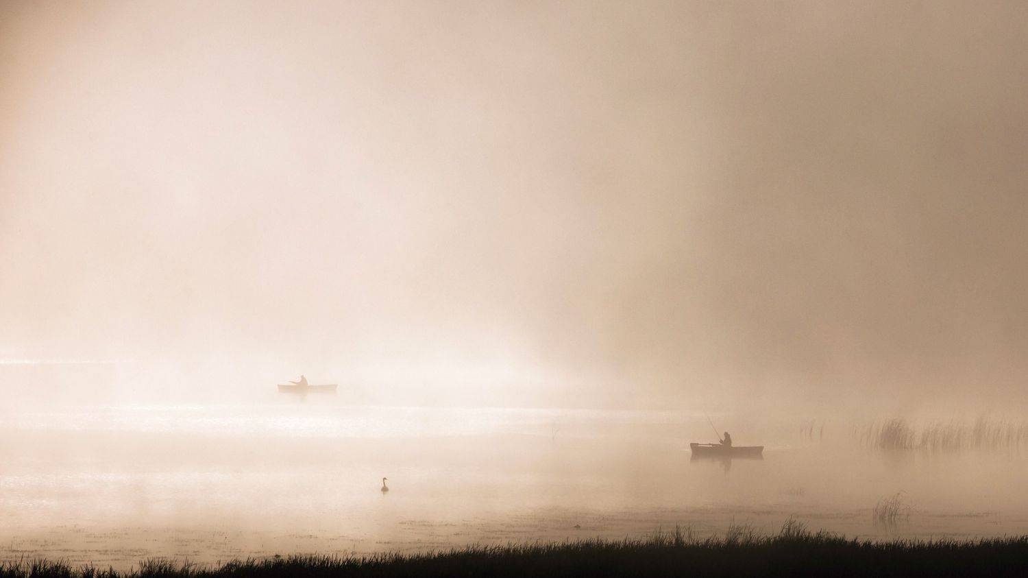 , Шустиков Дмитрий