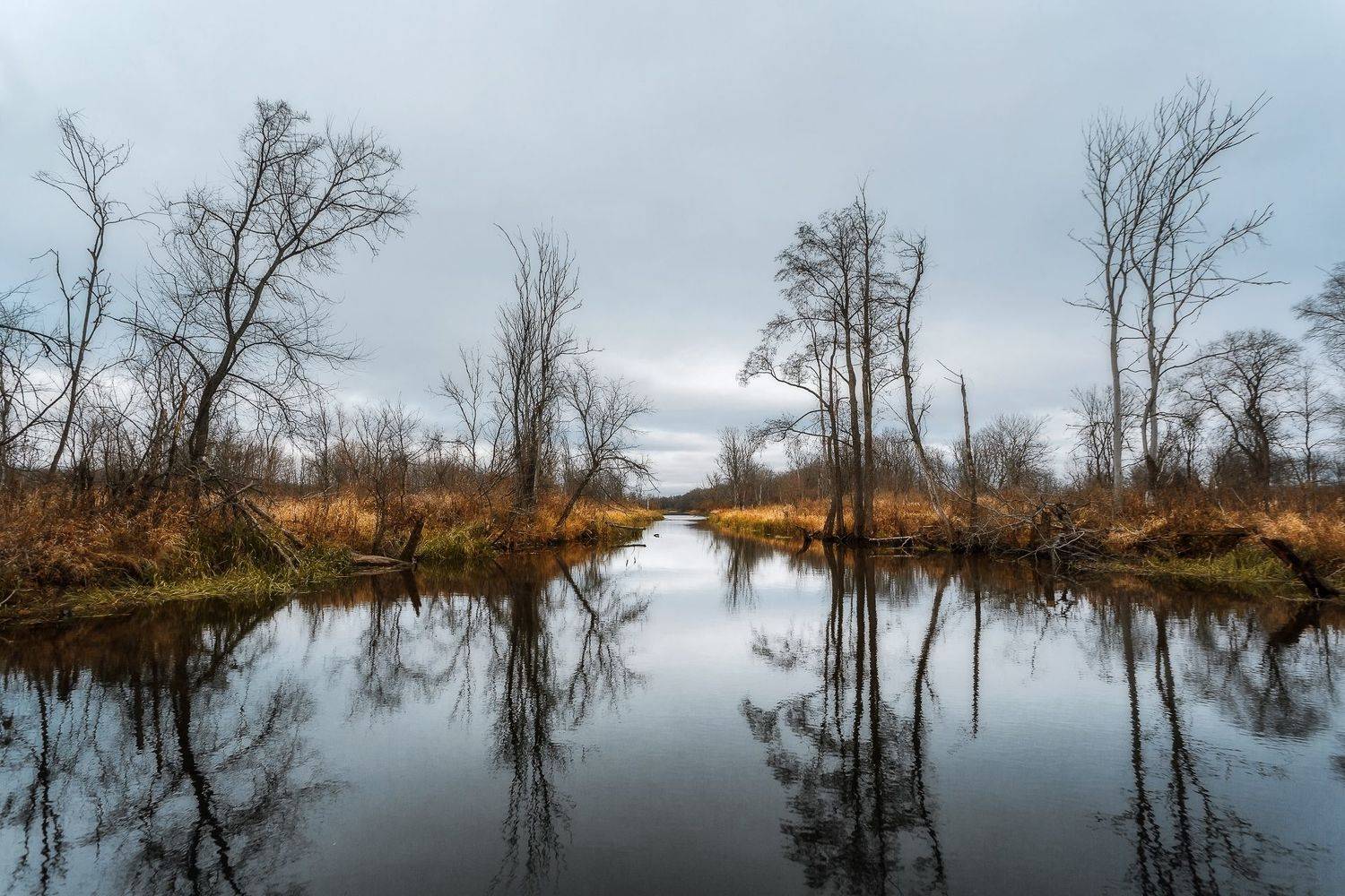 , Vyacheslav Lozhkin