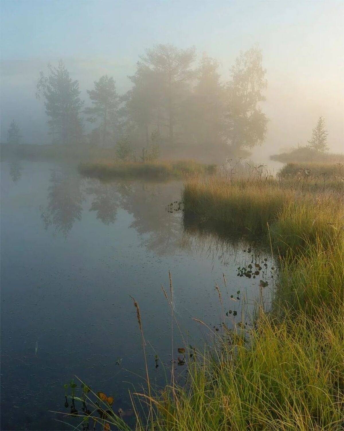 , Петр Косых