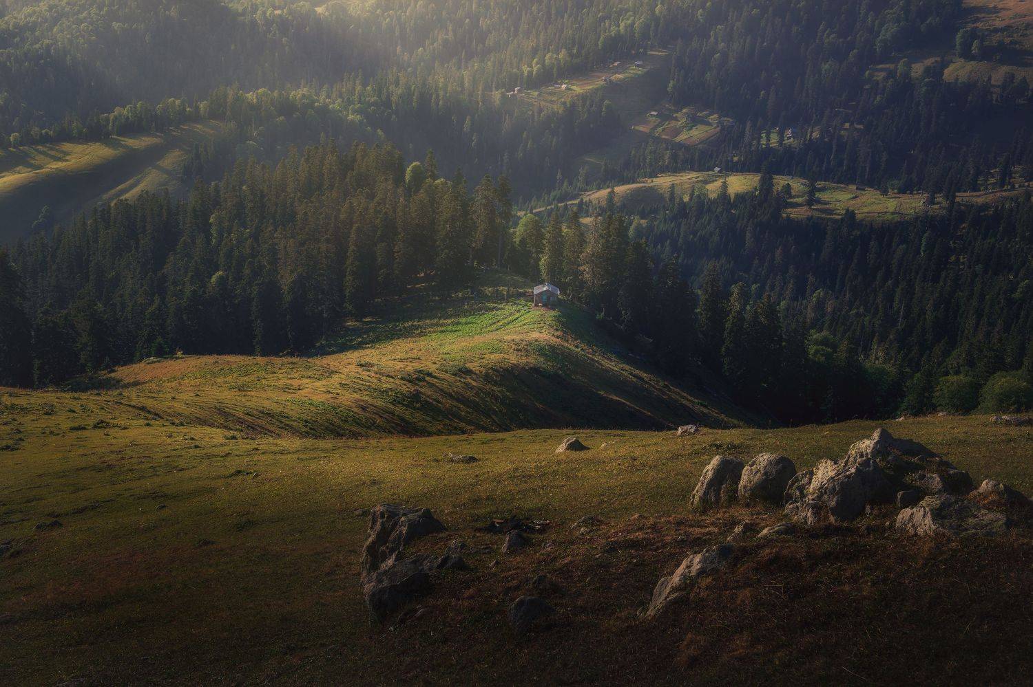 Georgia, landscapes, mountains, forest, golden light., Helen Vasilieva