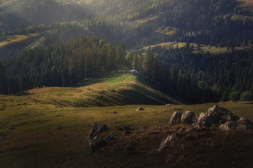 Lonely house.