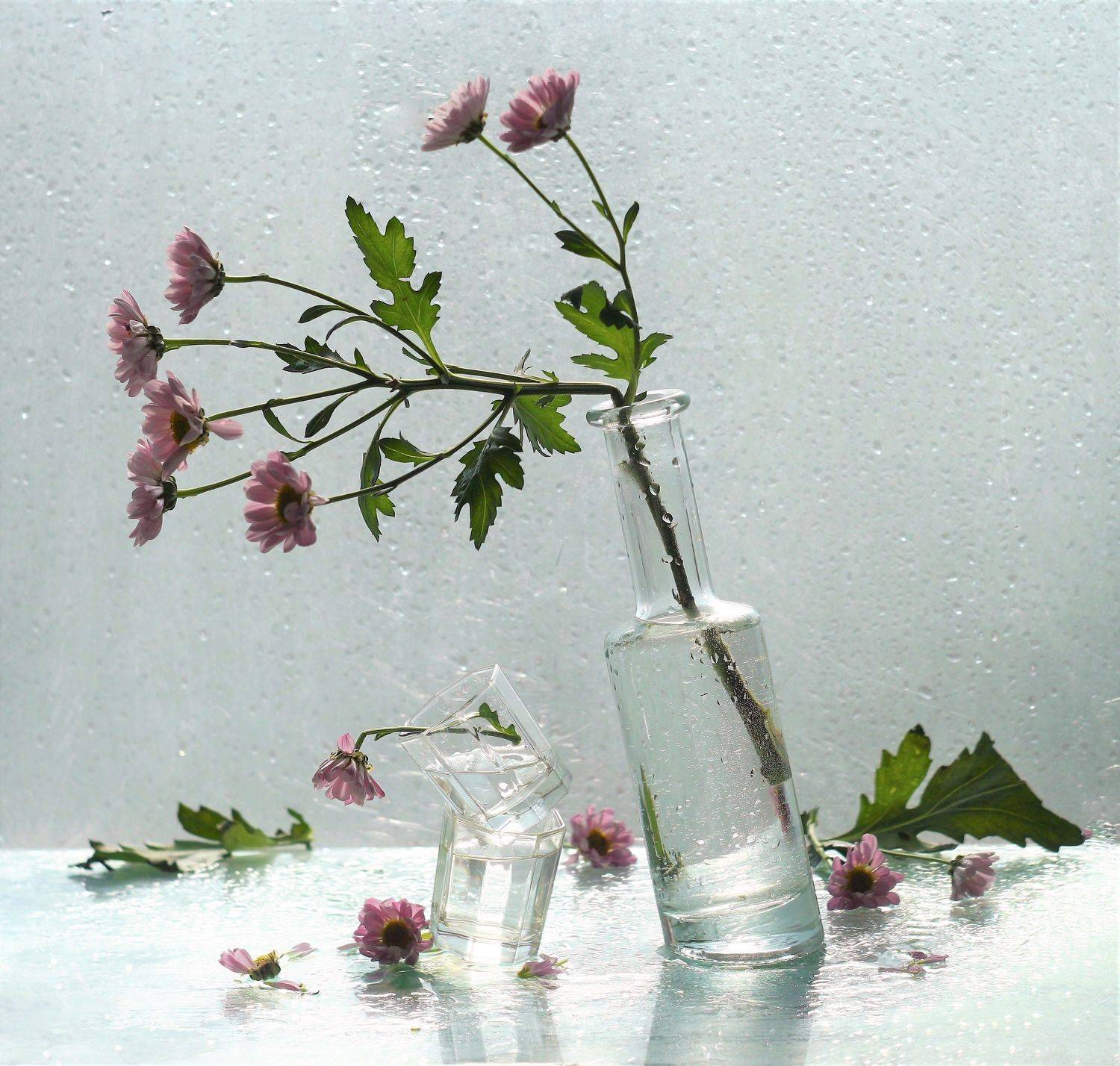 , Людмила Хрусталева*