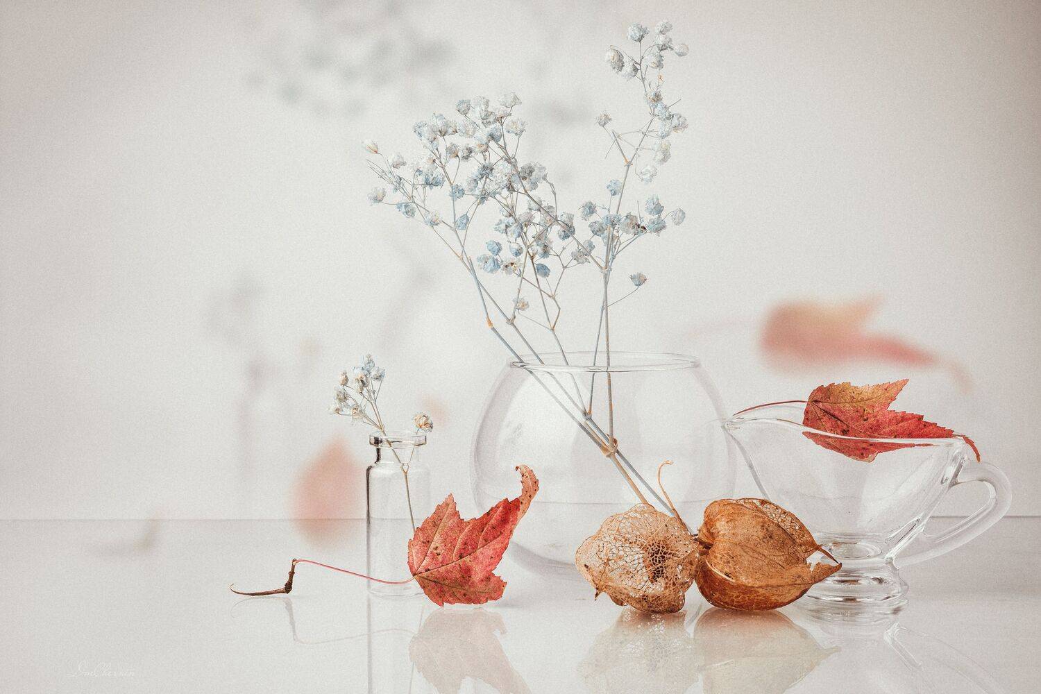 , Дмитрий Чернин