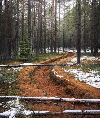 Первый снег