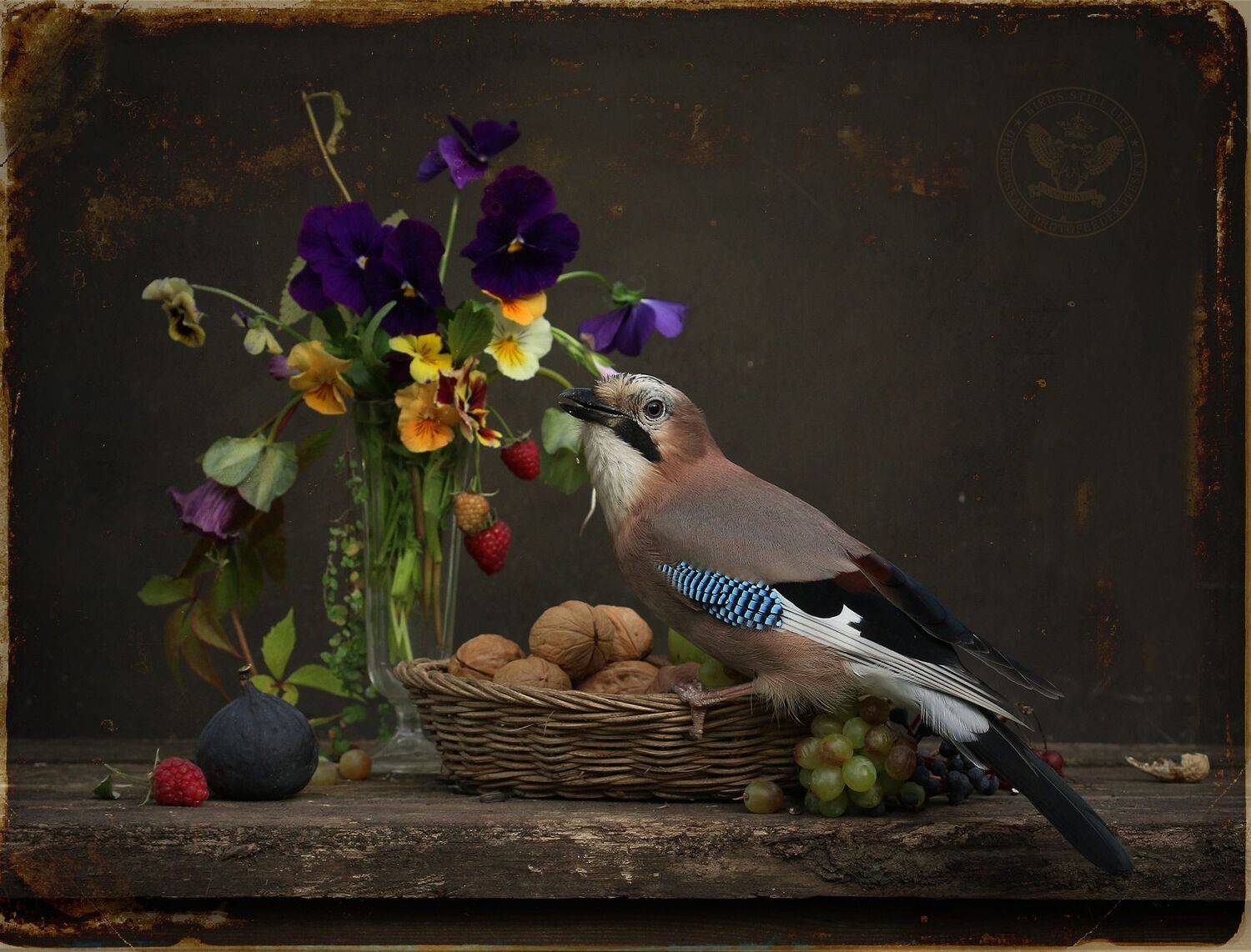 сойка, Хромушин Олег