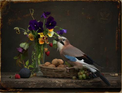 Последние цветы из сада