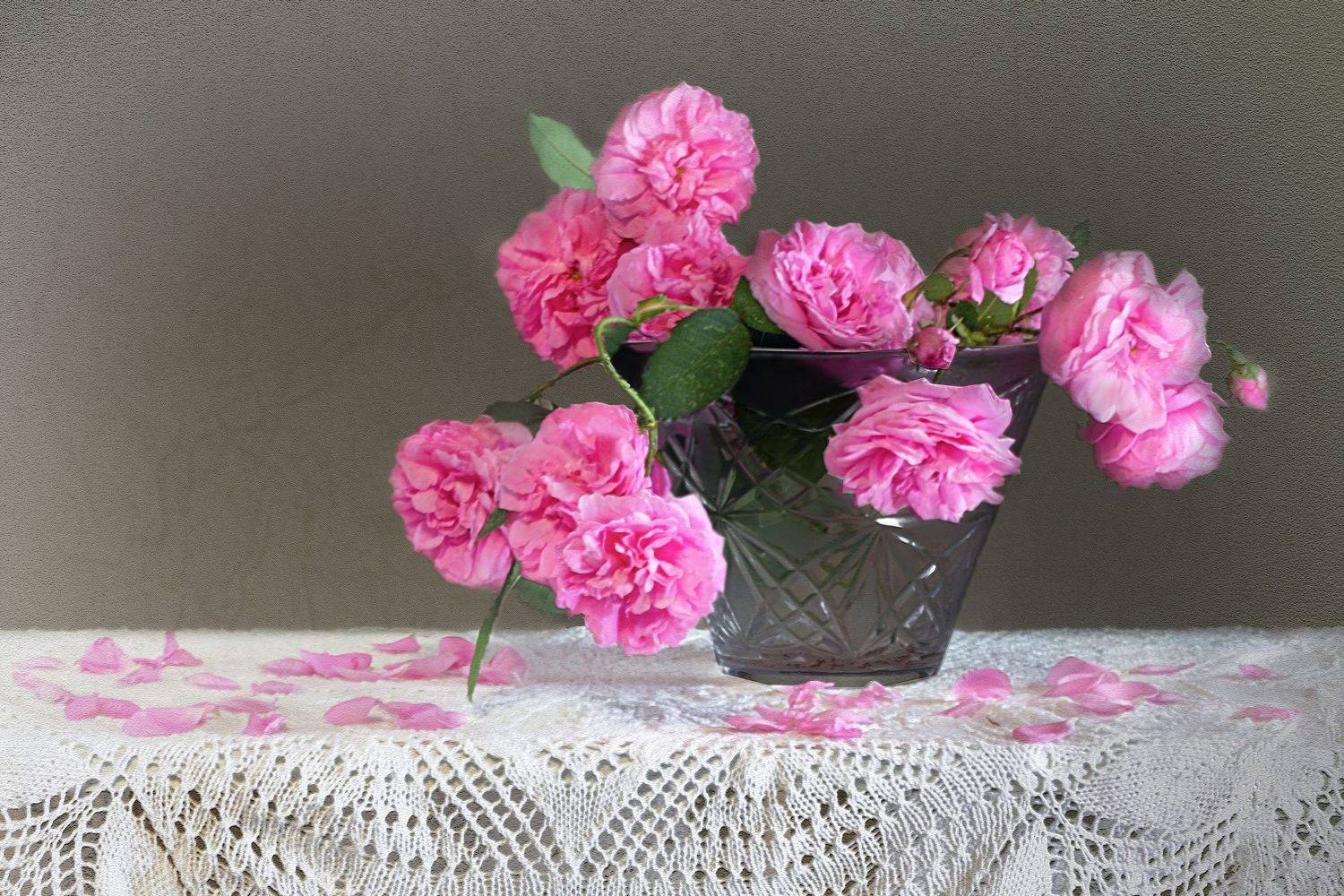 , Ольга Заболотская