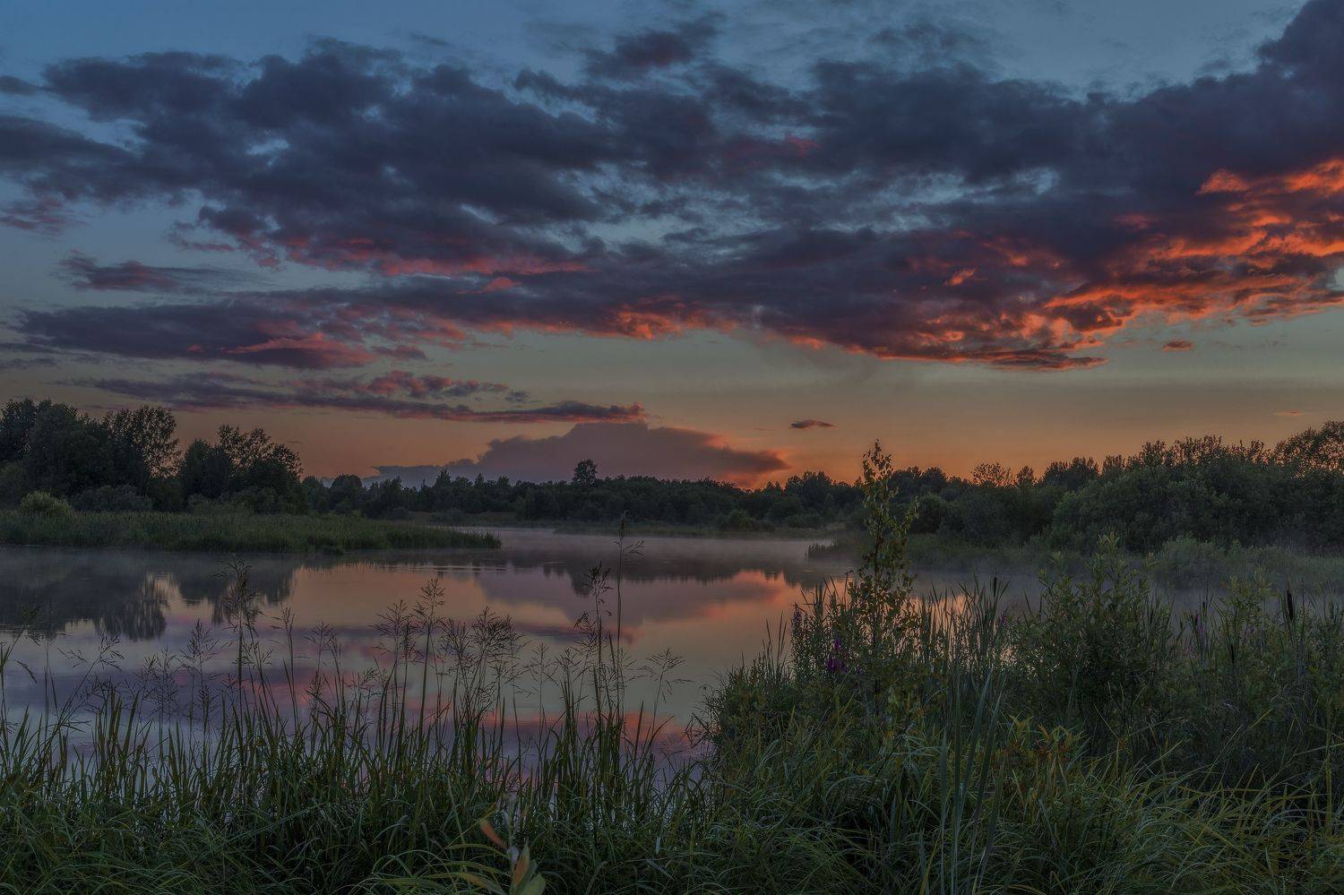 тверская область, Гусева Елена
