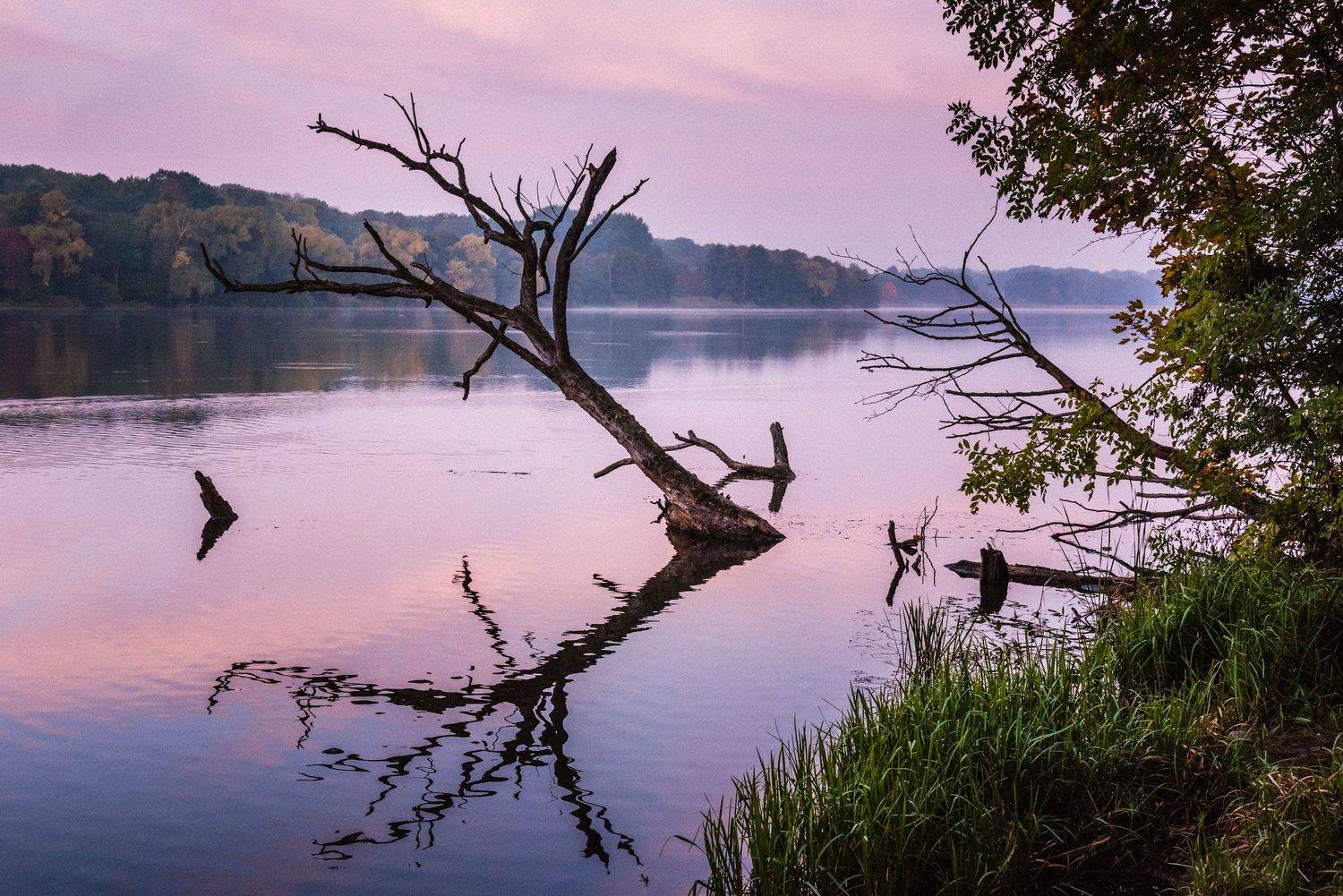 , Анатолий Кононов