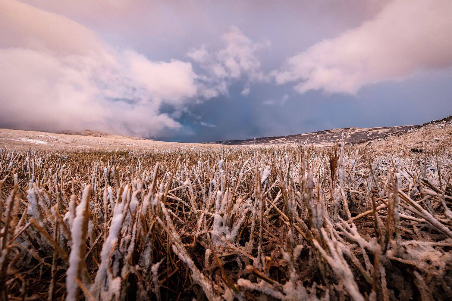 , Алексей Гурьев