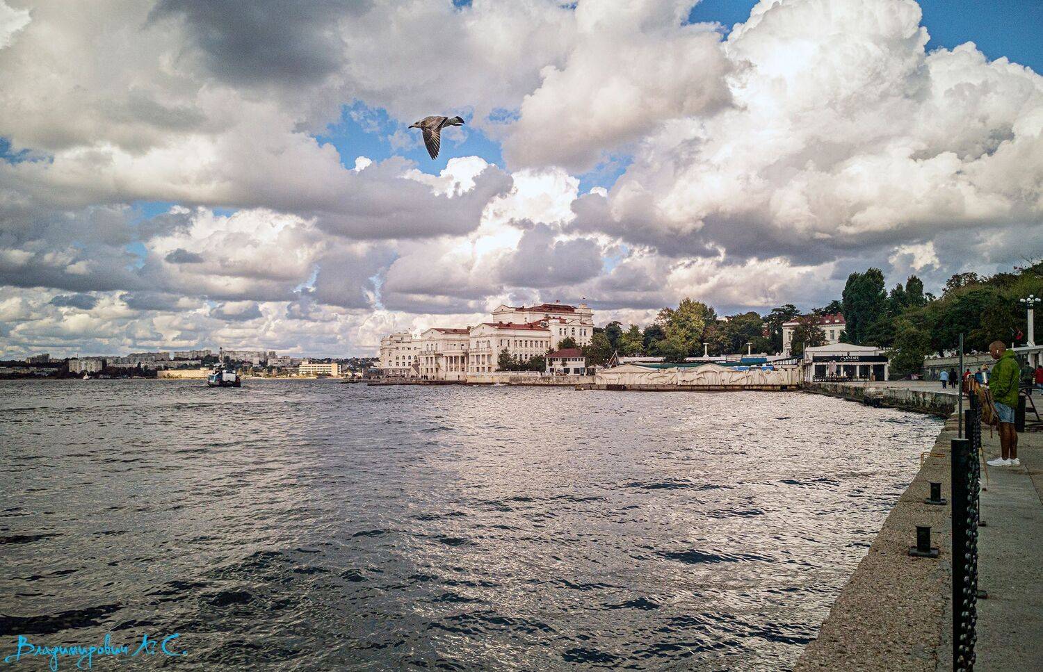 севастополь набережная артиллерийская бухта театр танца имени елизарова чайка, Алексей Смирнов