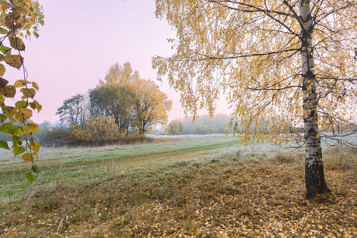 , Зеленько Дмитрий