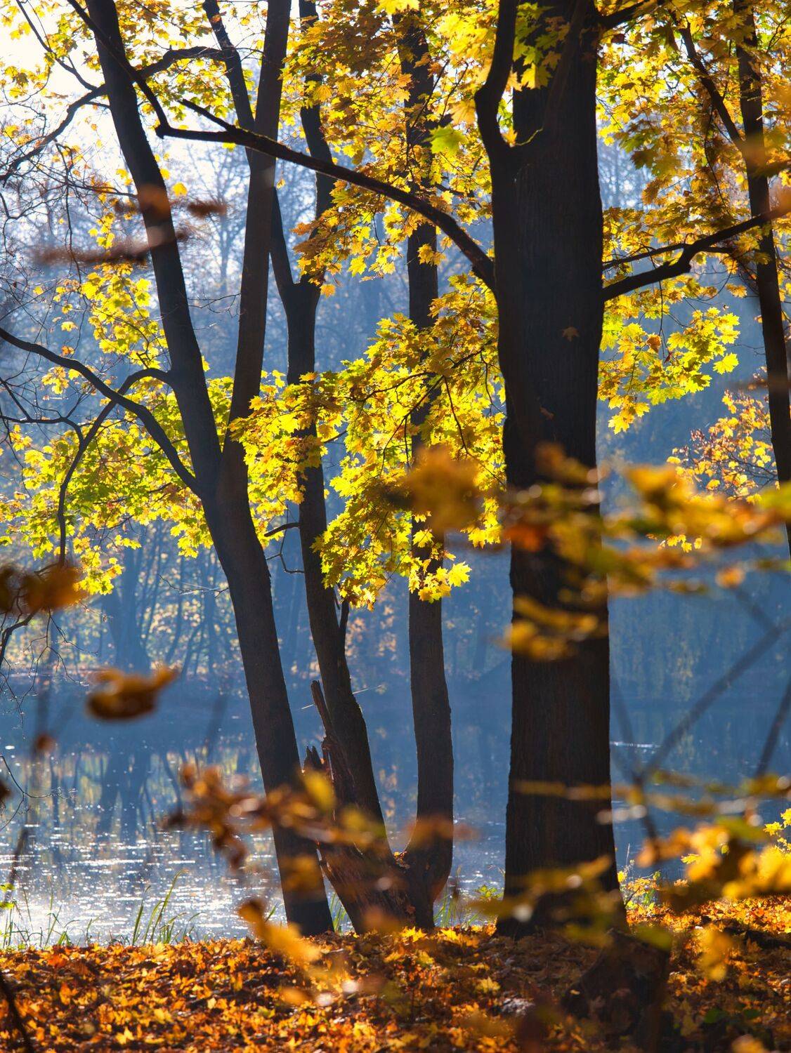 , Аседач Александр