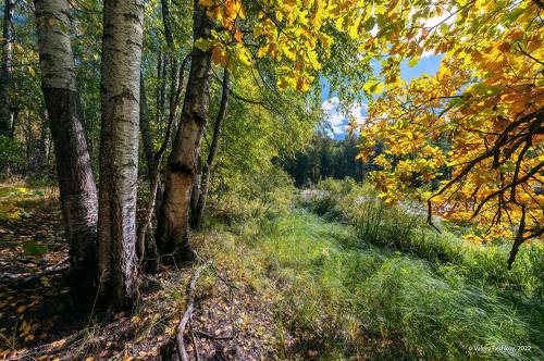 Pro сентябрьские старицы