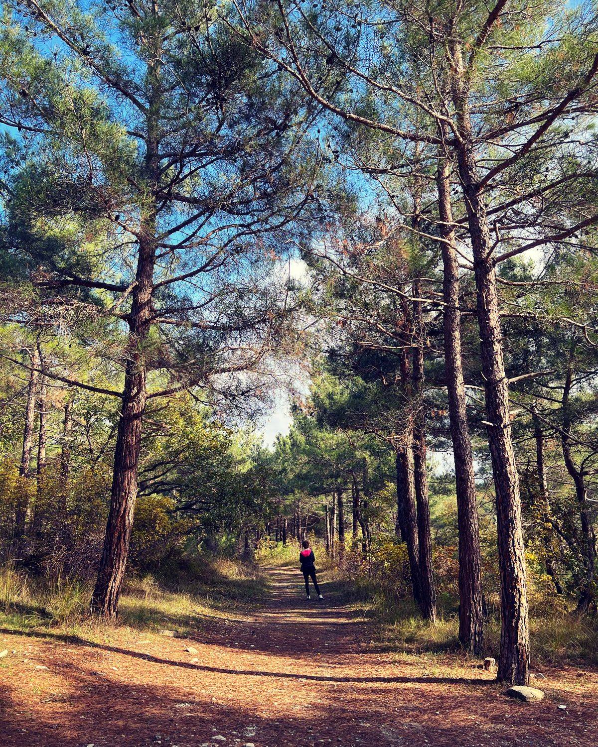 , Куликова Ирина