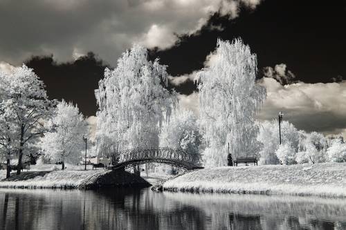 Лето в Медвежьем Озере