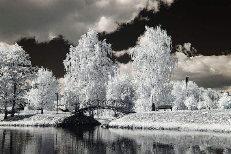 инфракрасная фотография, ИК Лето в Медвежьем Озере фото превью