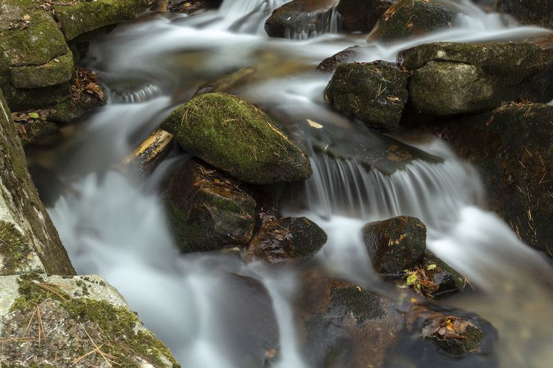 Ручей, осень, тайга  фото превью