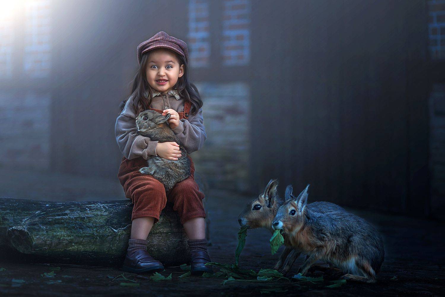 yao wenqi,  姚文琦