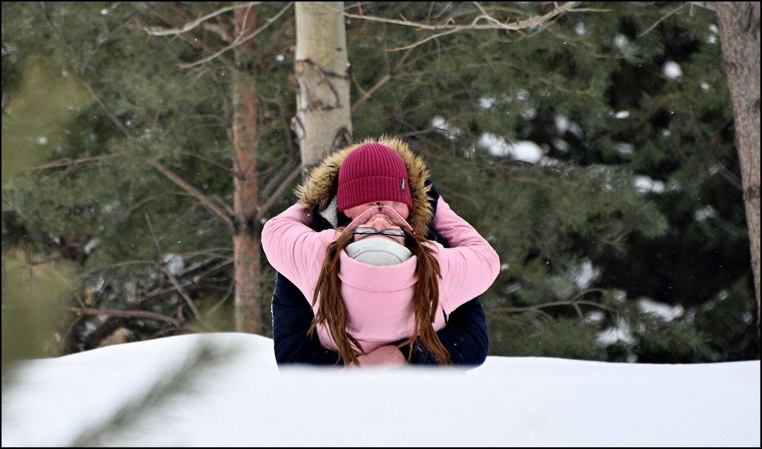 , Меднов Влад