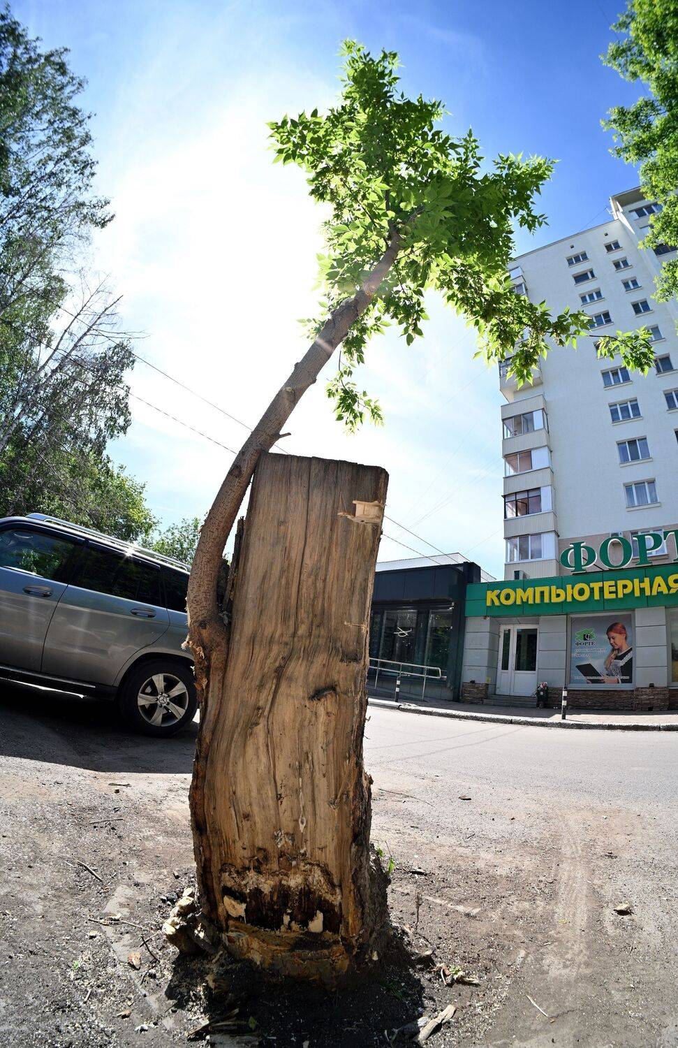 , Меднов Влад