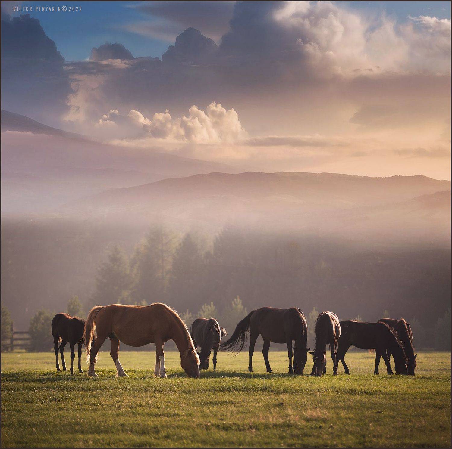 , Виктор Перякин