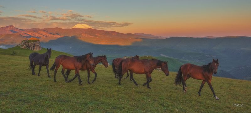 Мужик, ты нас не видел! фото превью
