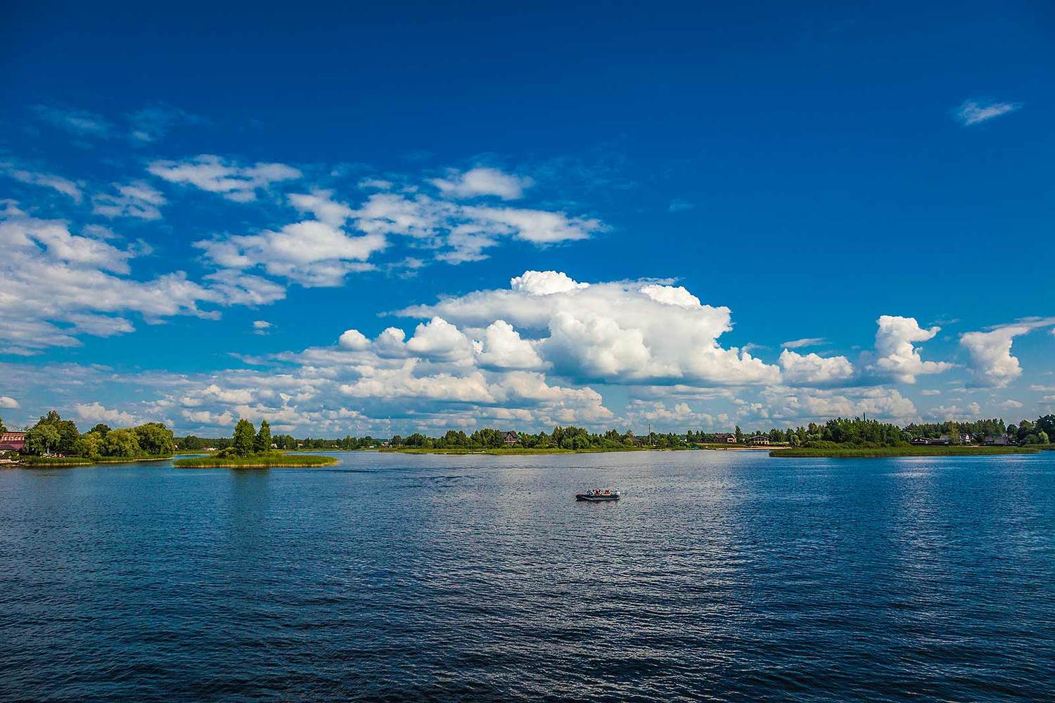 , Напалкин Станислав