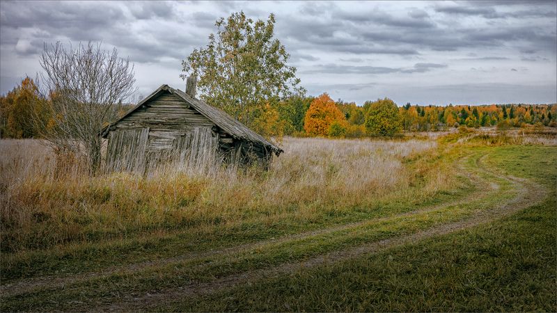 пейзаж, осень, деревня, лес, поле, небо, свет, цвет, александр никитинский Картинка деревенская, грустно-осенняя... фото превью