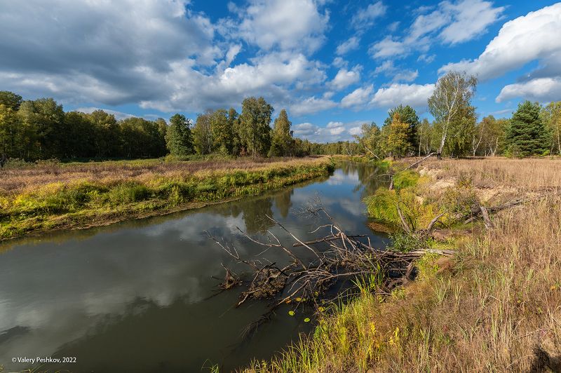 ранняя осень, сентябрь, река, солнце, облака, мещёра, рязанская область У осенней реки фото превью