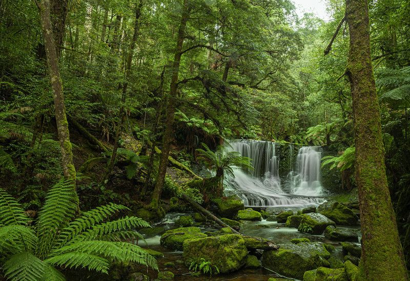 Тасмания пейзаж водопад Тасмания 2 фото превью