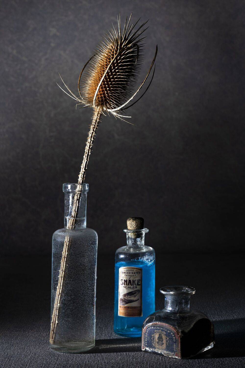 , Рут Андрей